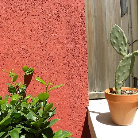 Apartamento La Terrasse Du Marche Aux Fleurs Montpellier