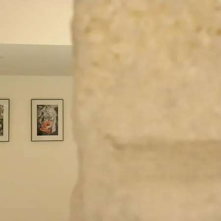 La Terrasse Du Marche Aux Fleurs Apartman