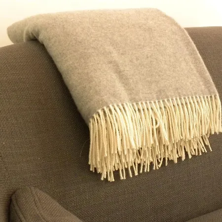 La Terrasse Du Marche Aux Fleurs *