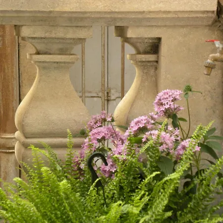 La Terrasse Du Marche Aux Fleurs